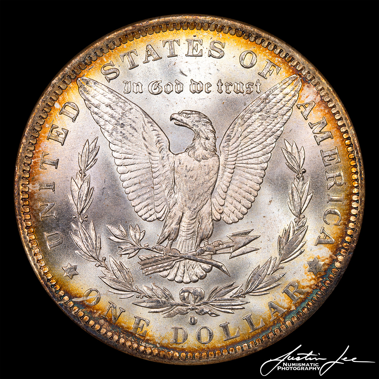 1884-O-Morgan-Dollar-Reverse.jpg