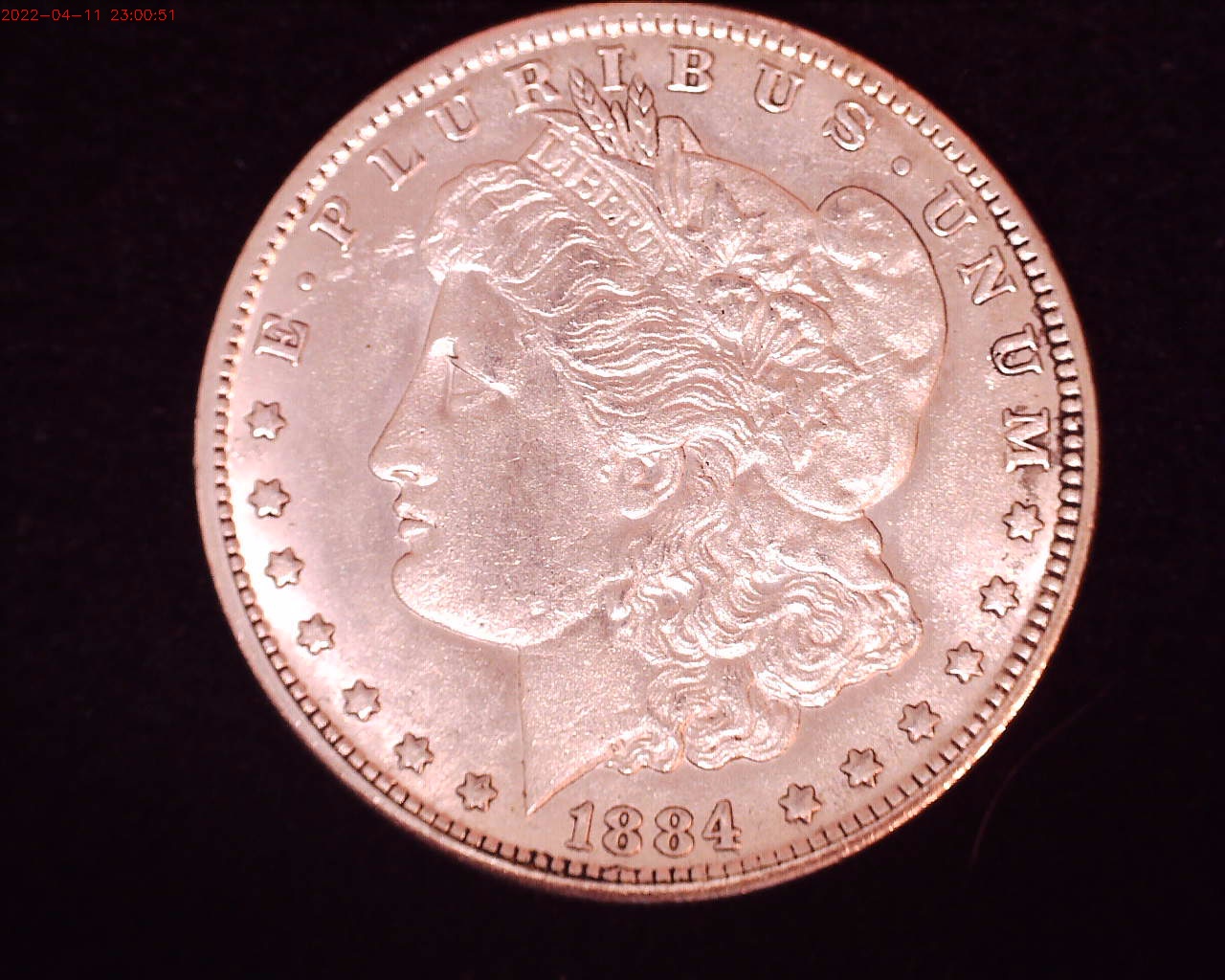 1884 obv.jpg