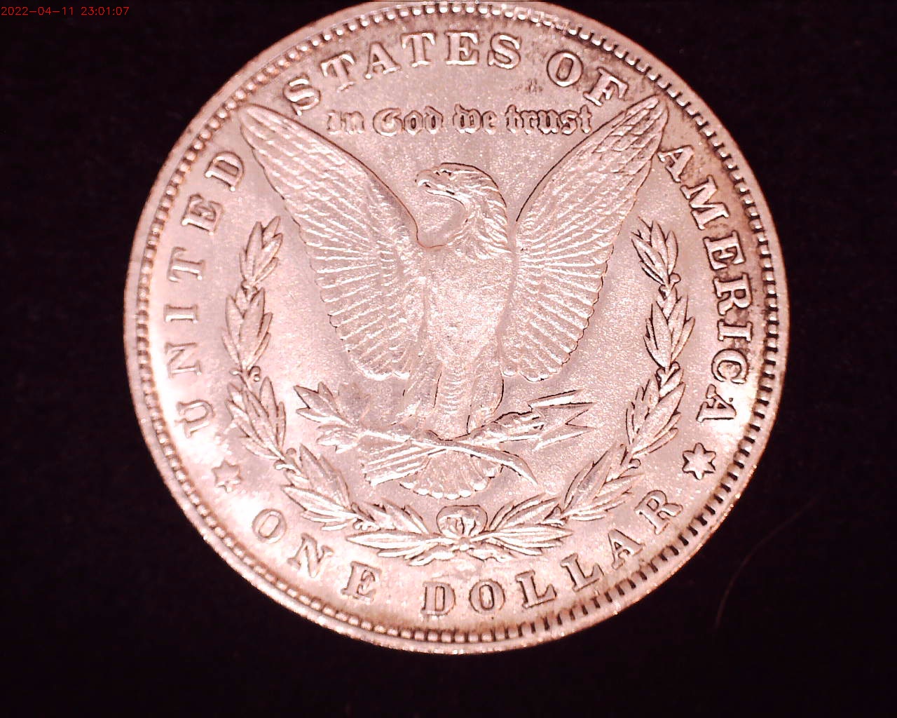 1884 rev.jpg