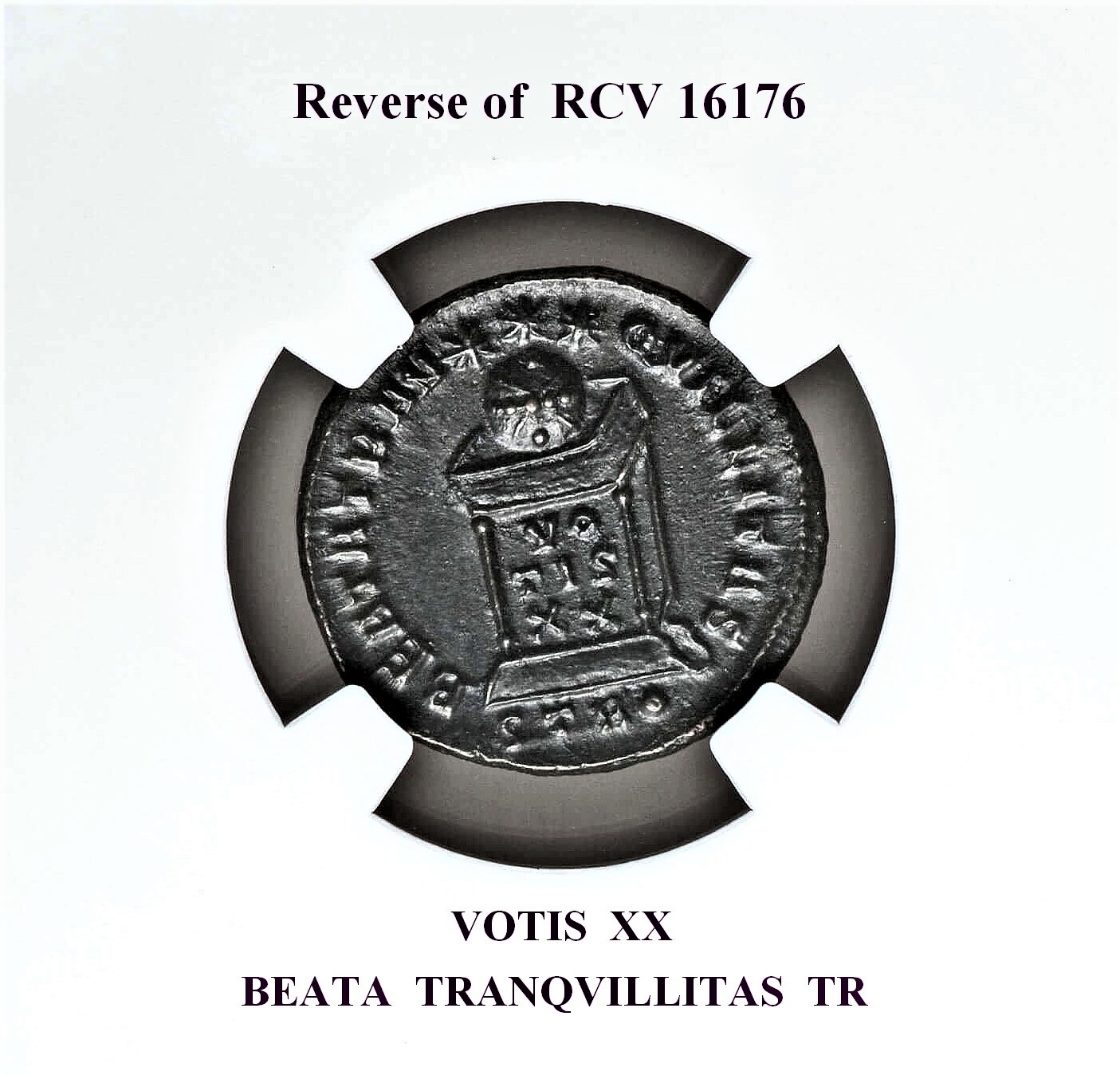 1884238-013 rev. (2).jpg