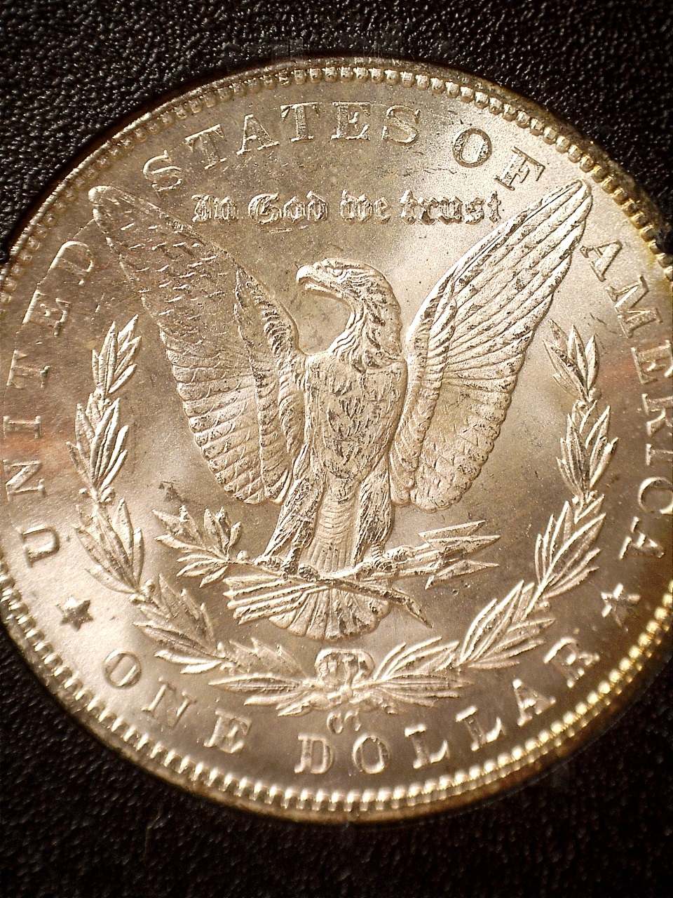 1885-CC GSA rev.jpg