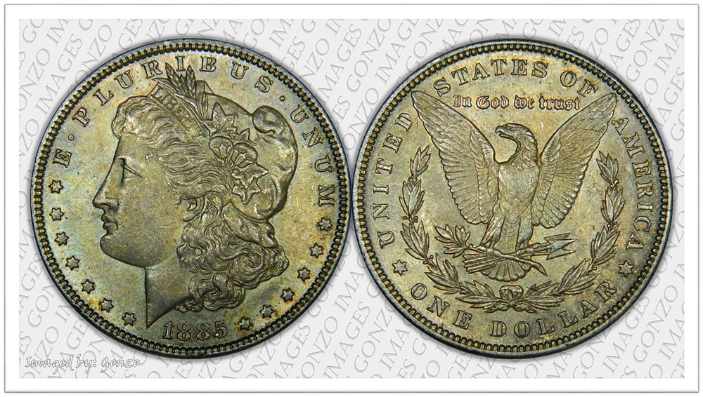 1885 Morgan $1 #2 Combo.jpg