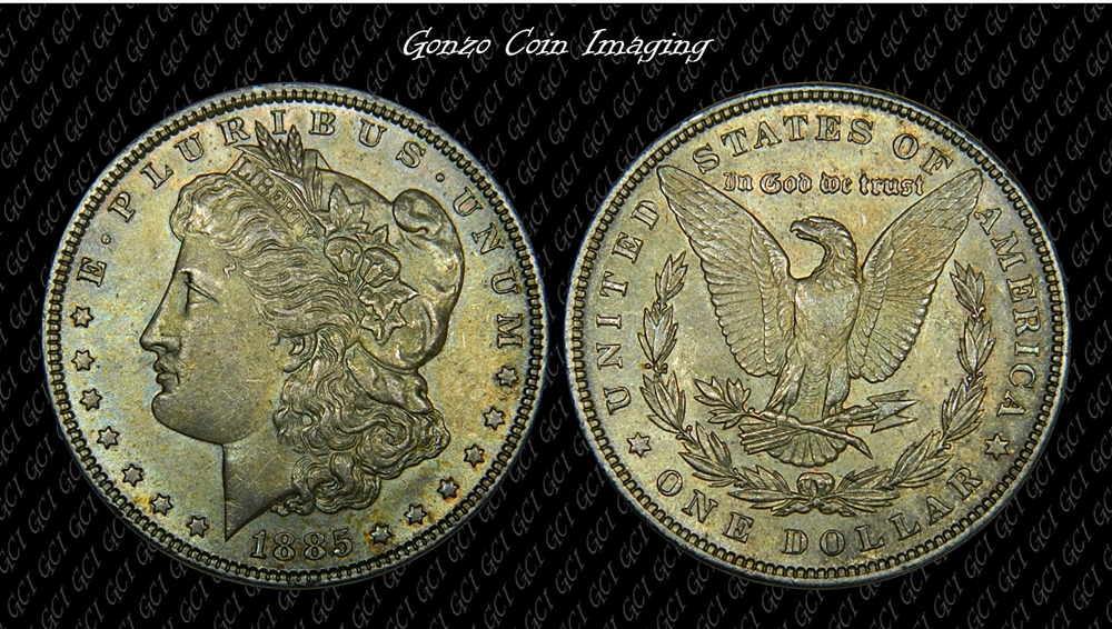 1885 Morgan $1 Combo.jpg
