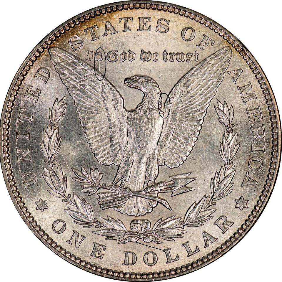 1885 Morgan Dollar 2-1.jpg