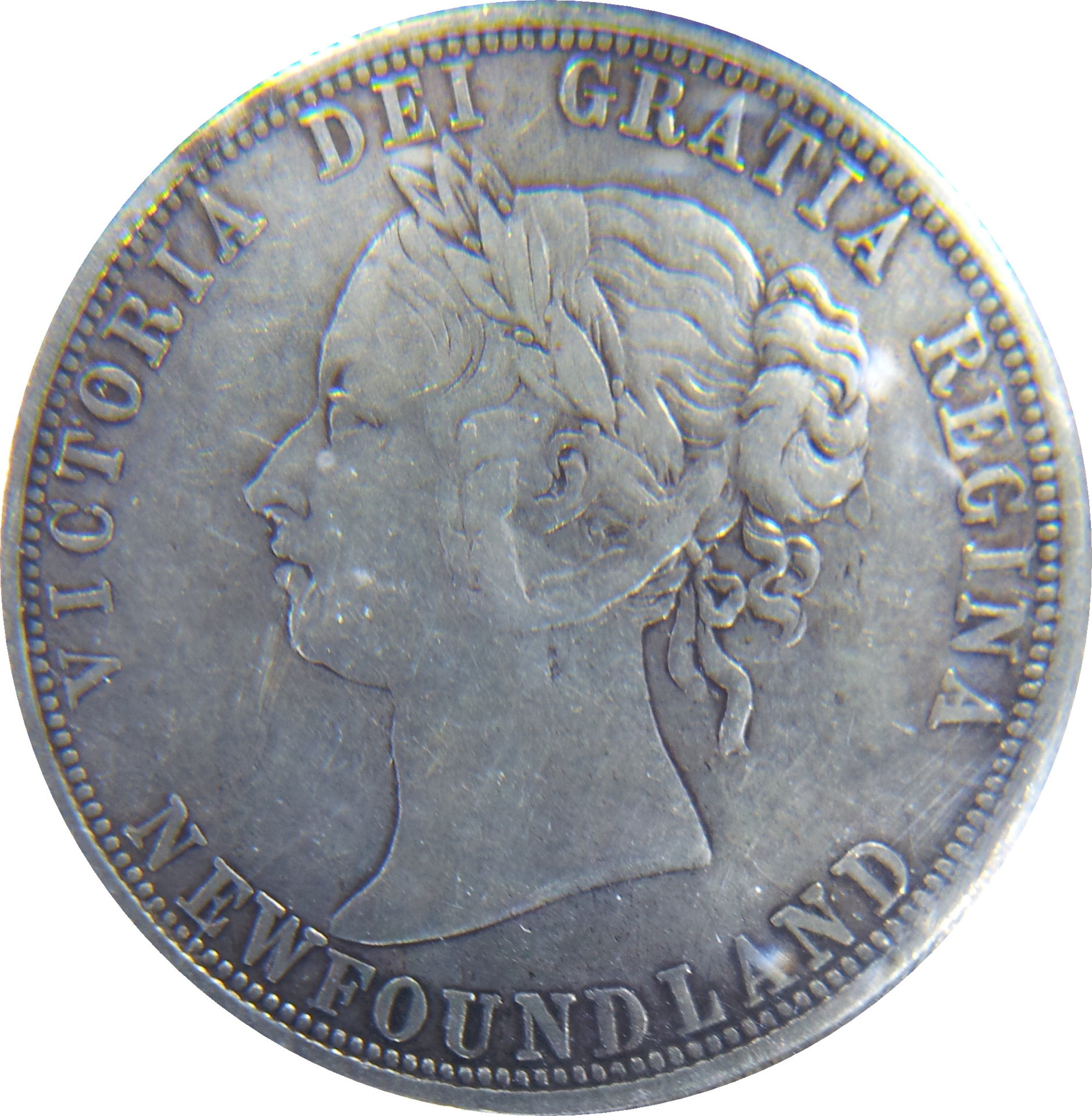 1885 Newfoundland Fifty Cent Obv.JPG