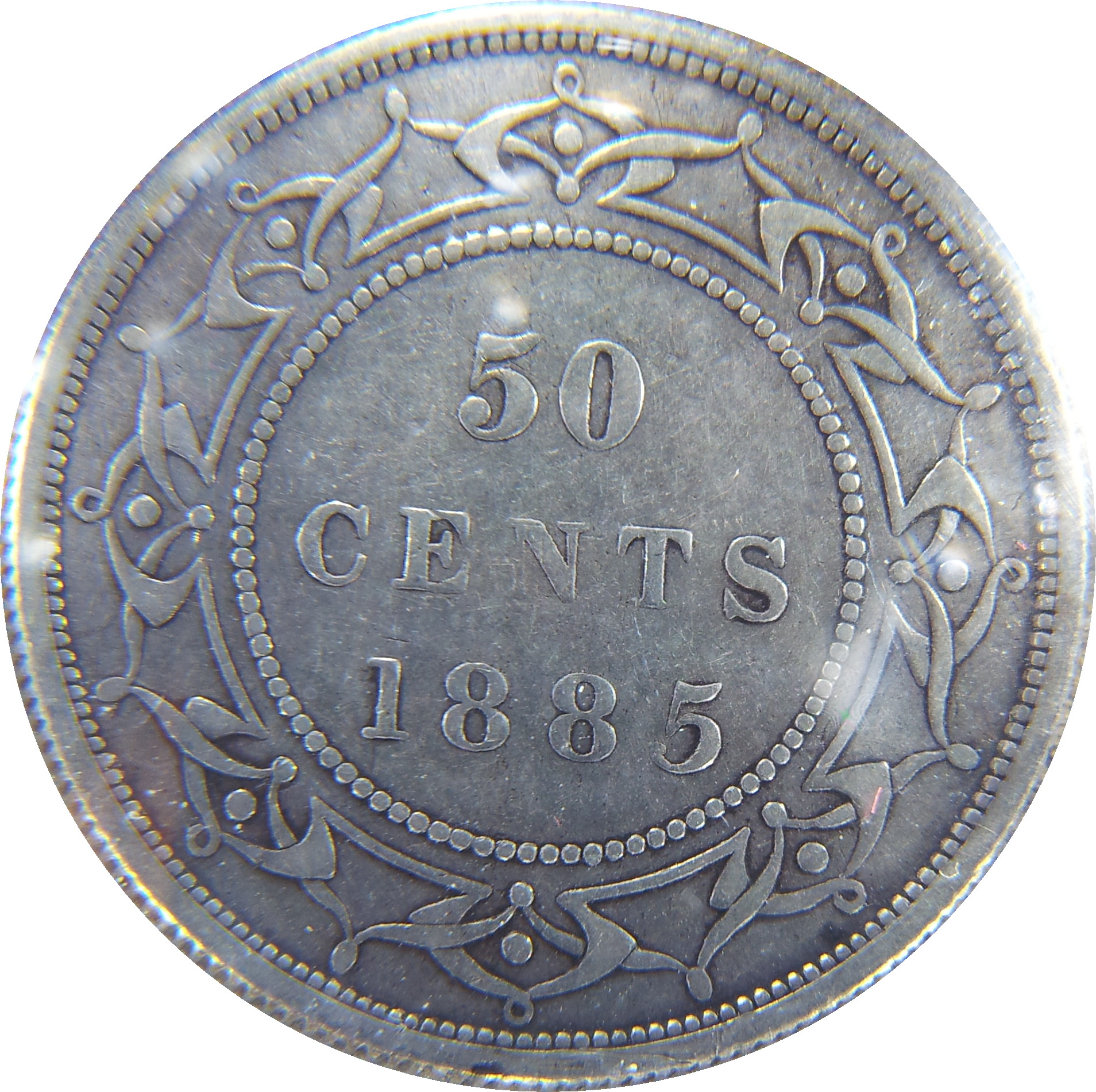 1885 Newfoundland Fifty Cent Rev.JPG