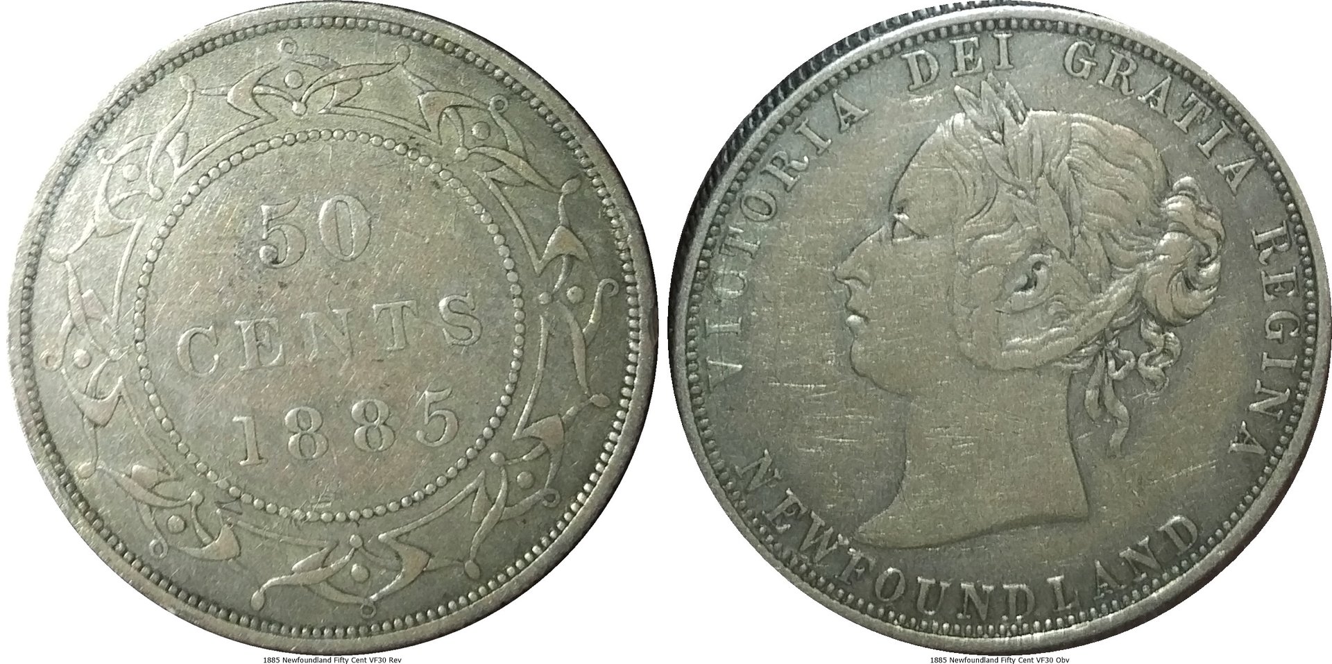 1885 Newfoundland Fifty Cent VF30-tile.jpg