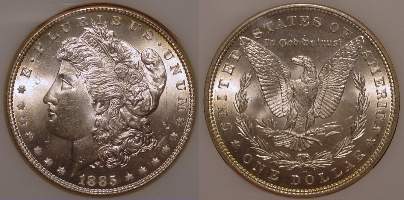 1885-P Morgan Dollar All.jpg