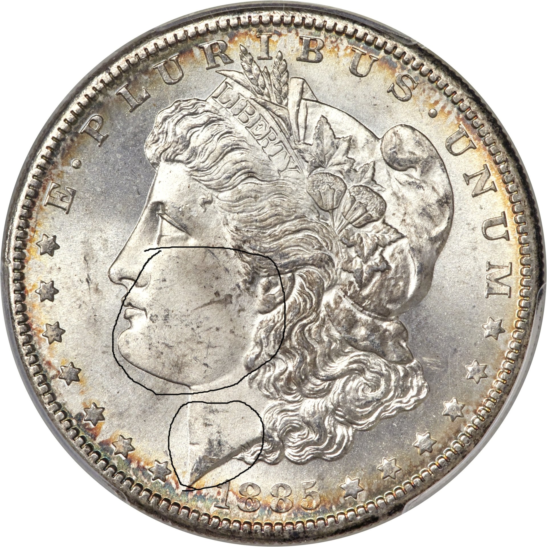 1885-S highlight.jpg