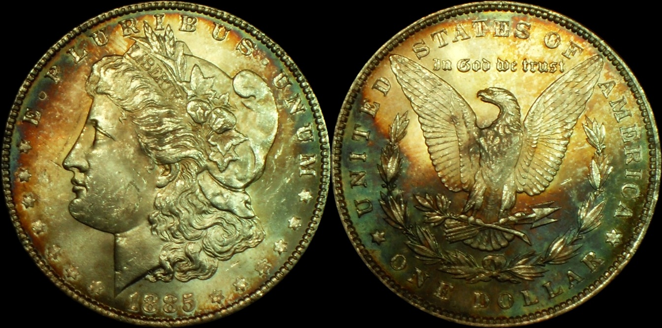 1885_P_Fin.jpg