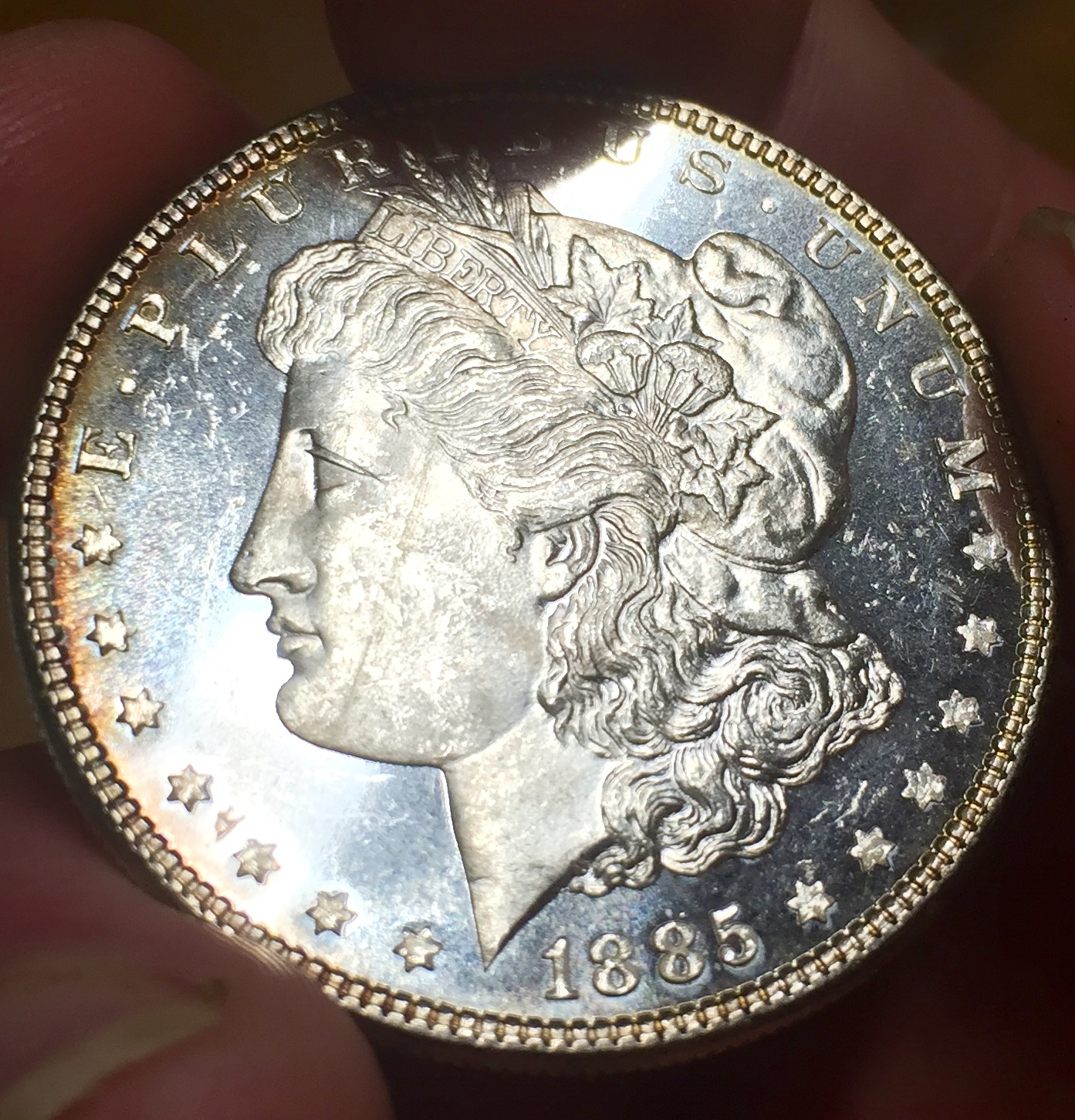 1885DMPL - 1 (2).jpg