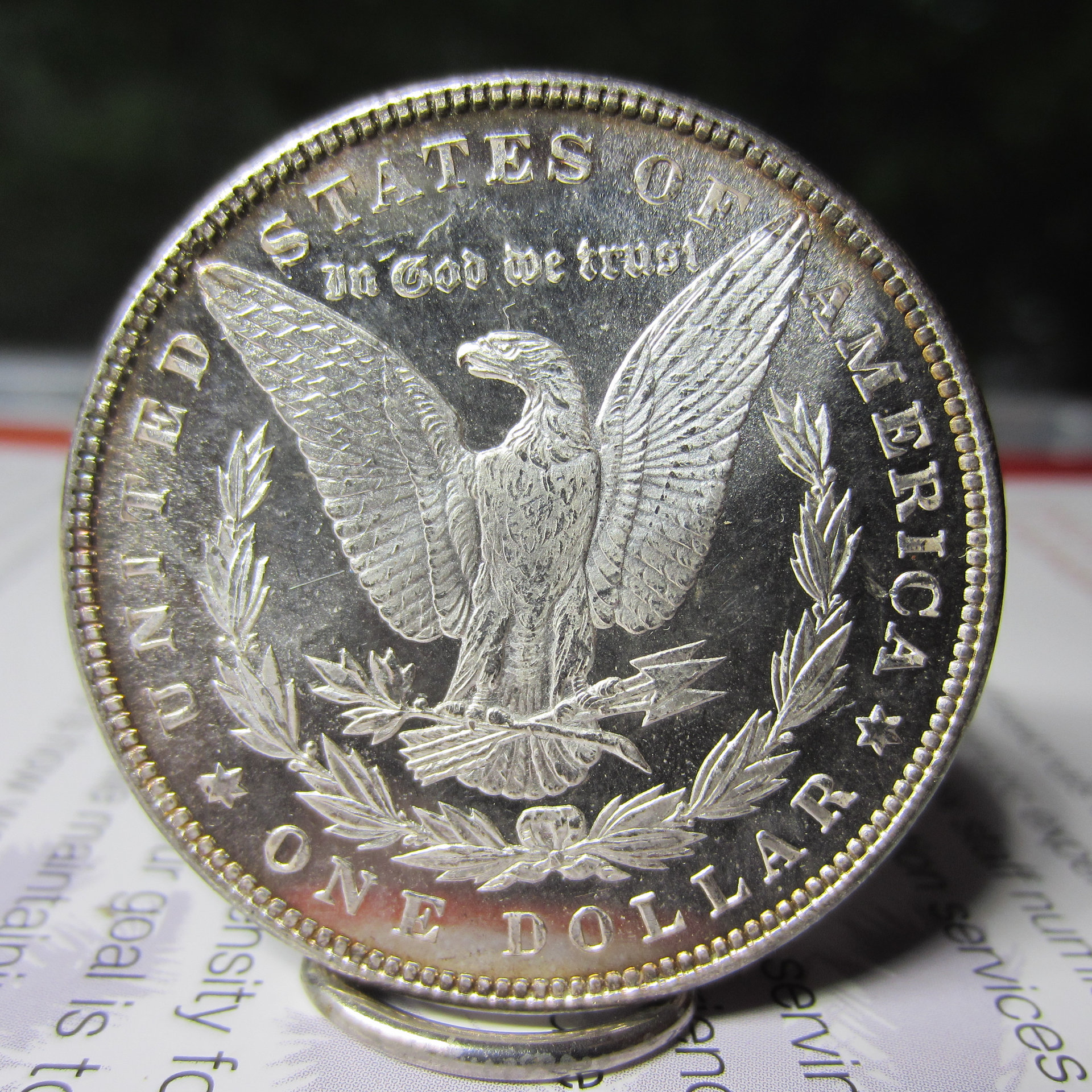 1885DMPL - 1 (4).jpg