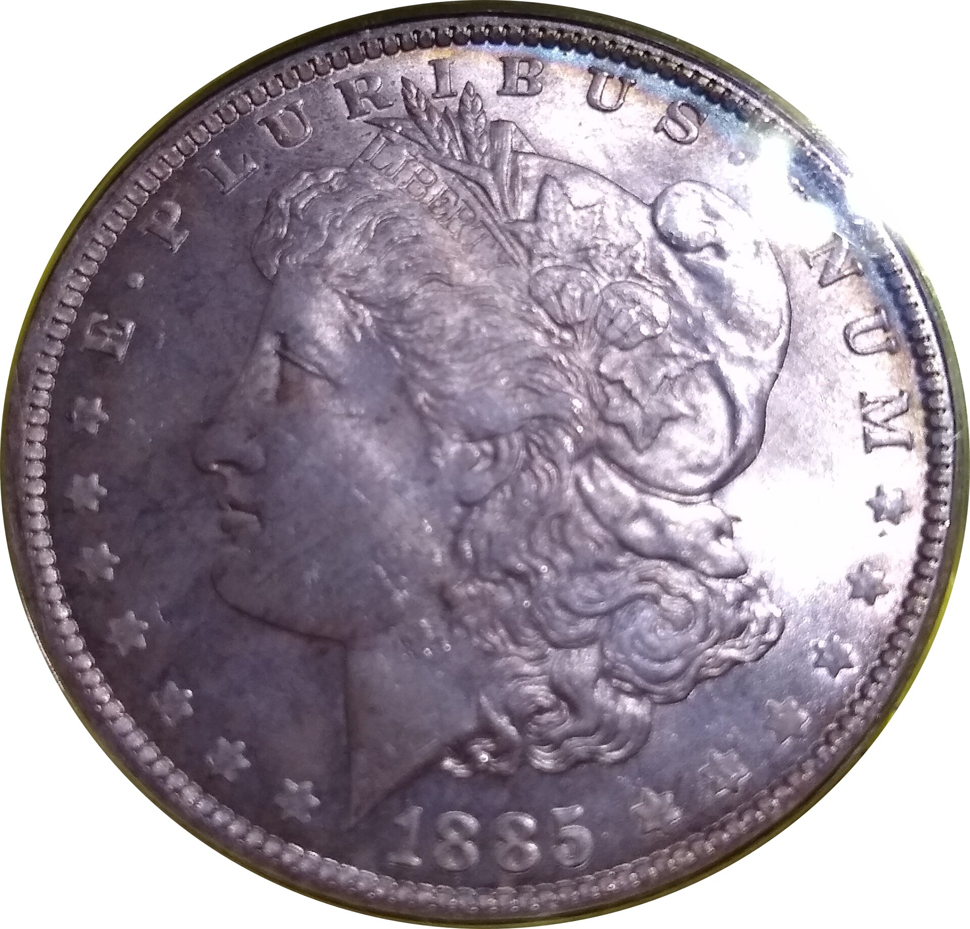 1885O Morgan Obv.jpg