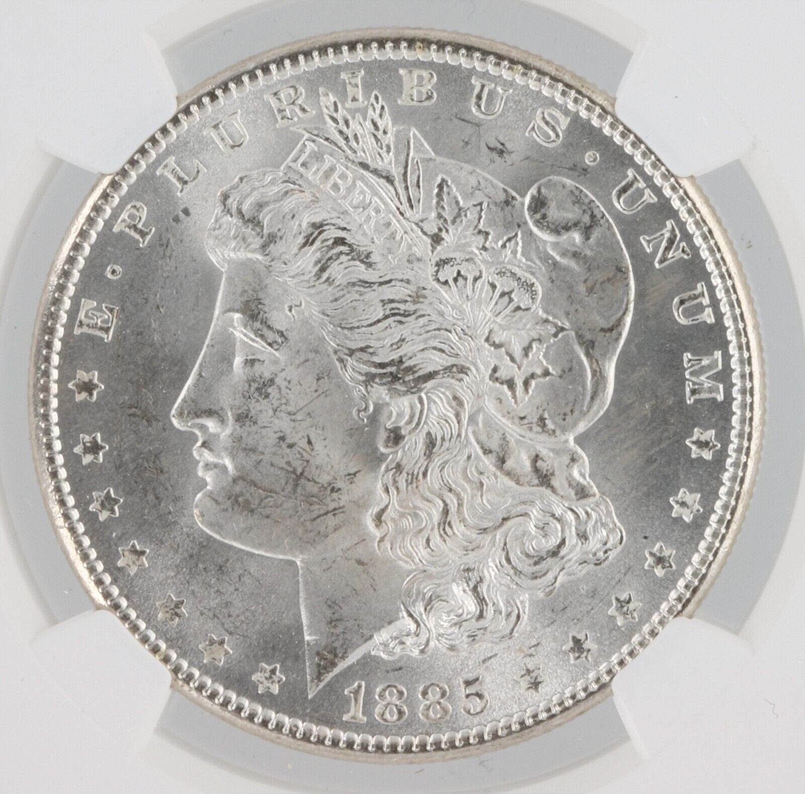 1885p.jpg