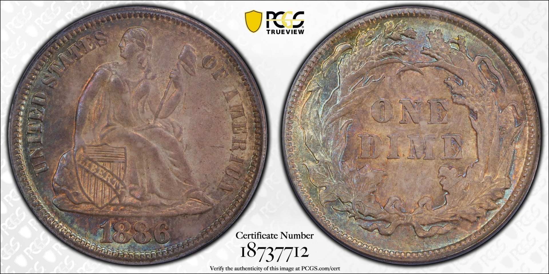 1886 10C Dime - Seated Liberty, Legend Obverse PCGS MS63 18737712 CAC TrueView Full.jpg