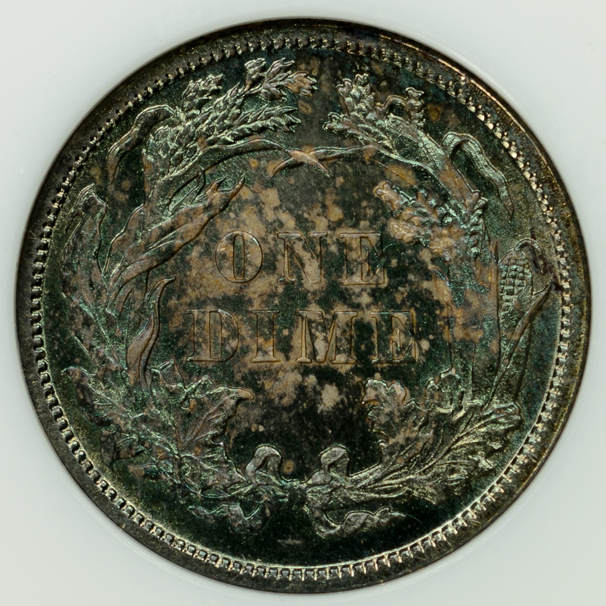 1886 10C MS65 NGC 237690-009 Rev Closeup.jpeg