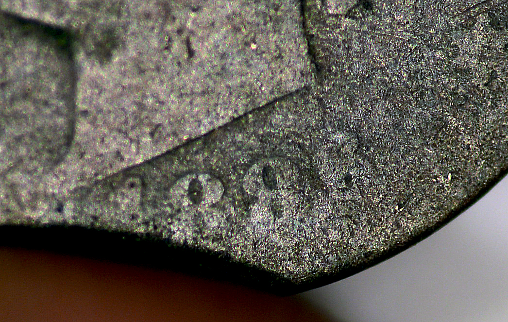 1886 Liberty Nickel - Date.jpg