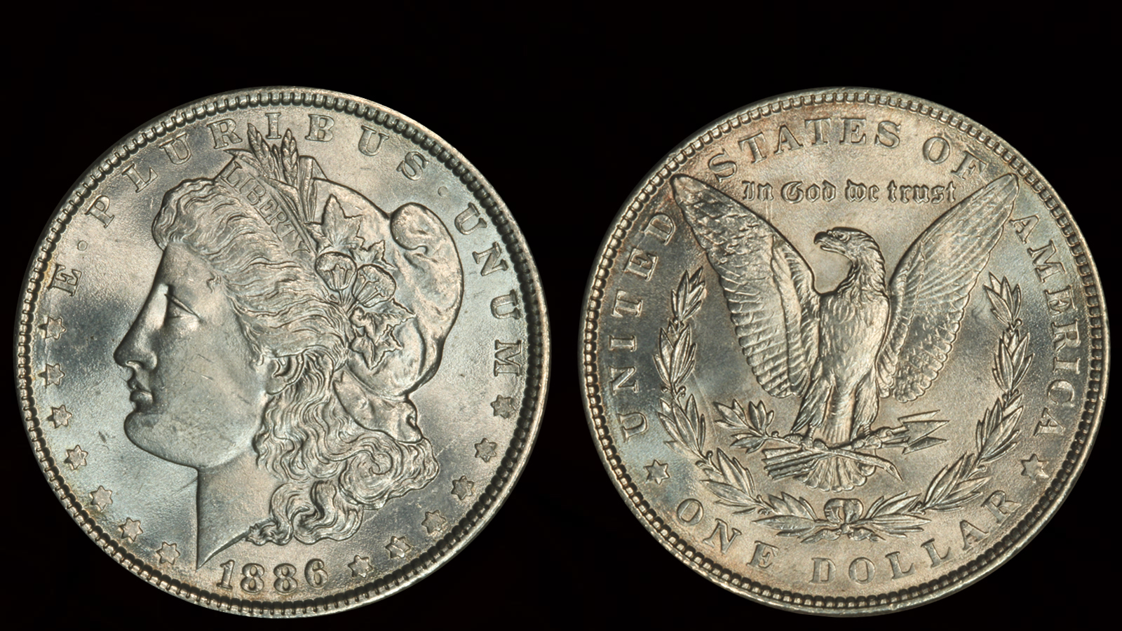 1886 Morgan Dollar.jpg