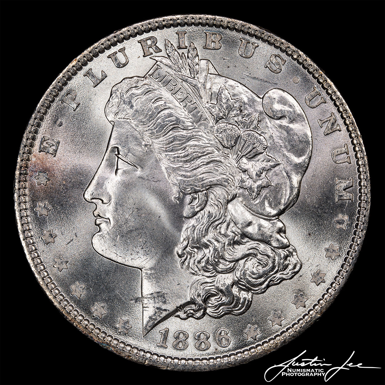 1886-Morgan-Dollar-Obverse.jpg