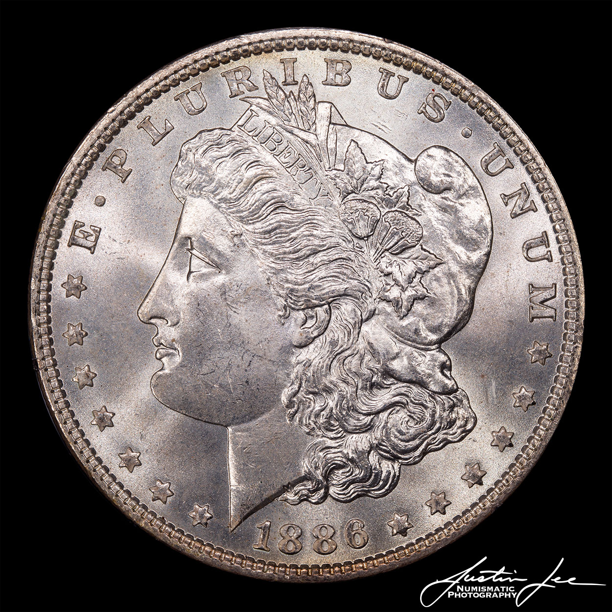 1886-Morgan-Dollar-Obverse.jpg