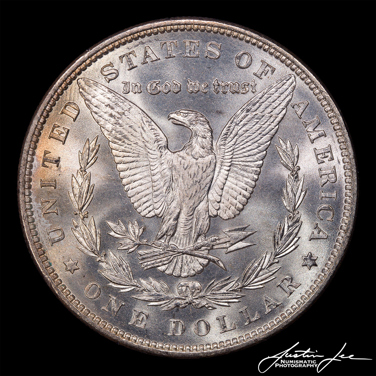 1886-Morgan-Dollar-Reverse.jpg