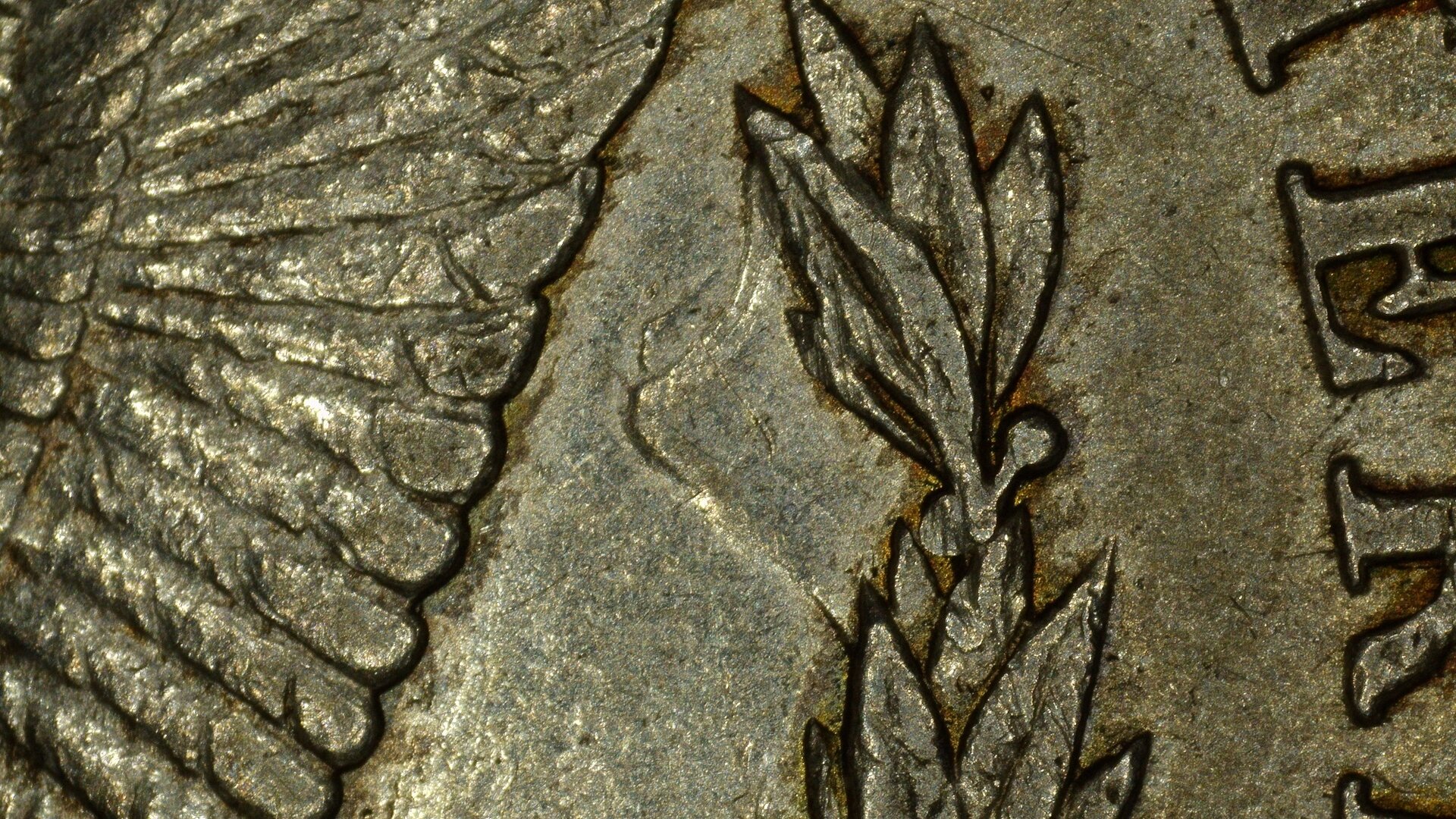 1886-O $1 Rev Clashed Hair Resized.jpg