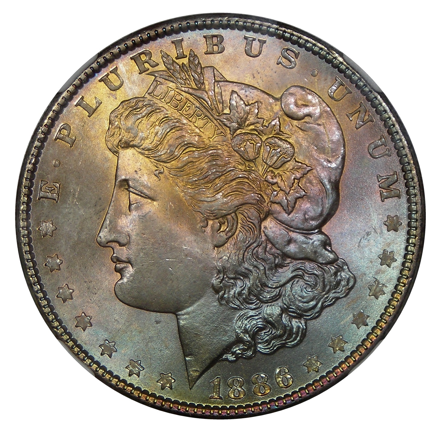 1886_morgan_obverse.jpg