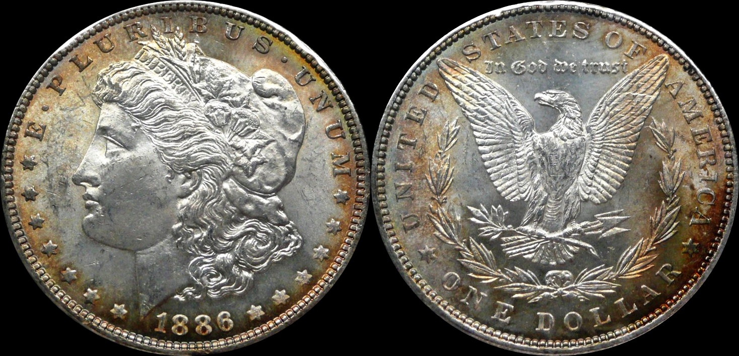 1886_P_VAM11_Fin.jpg
