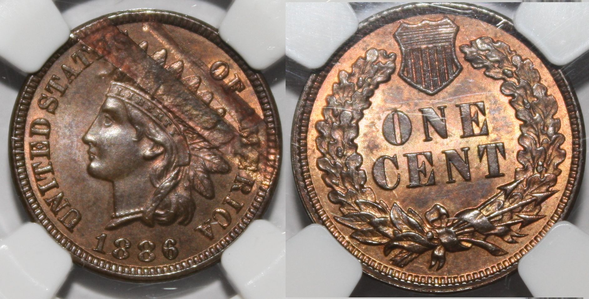1886error.jpg
