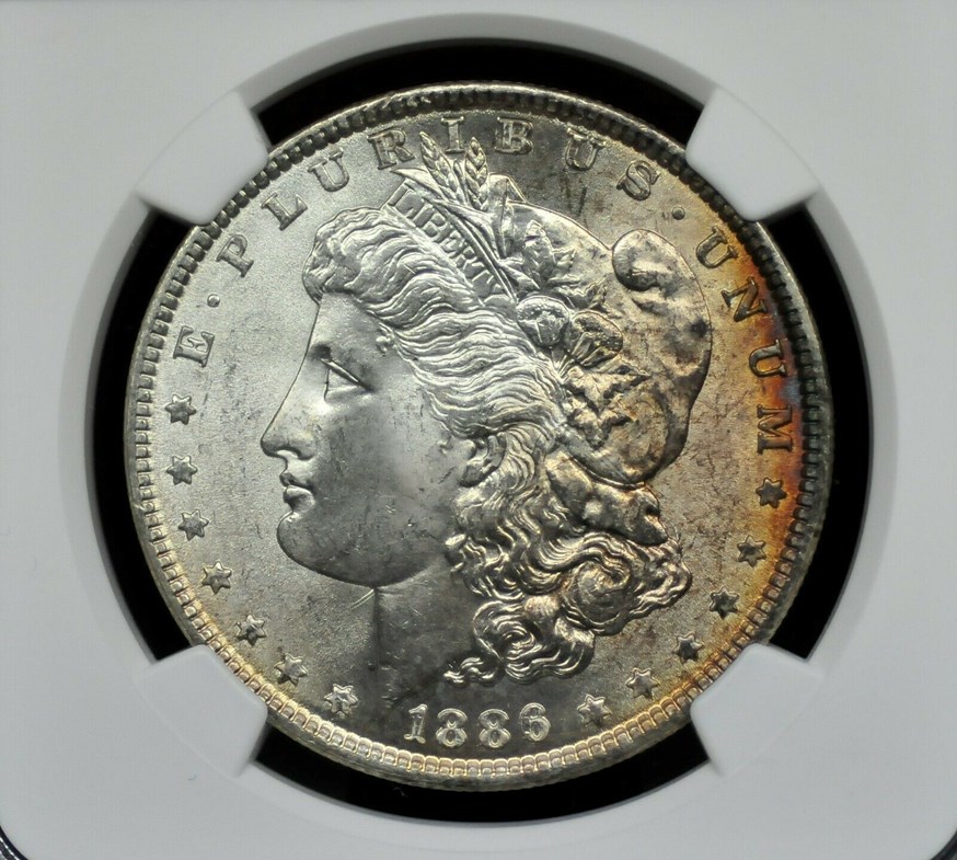 1886morgano.jpg