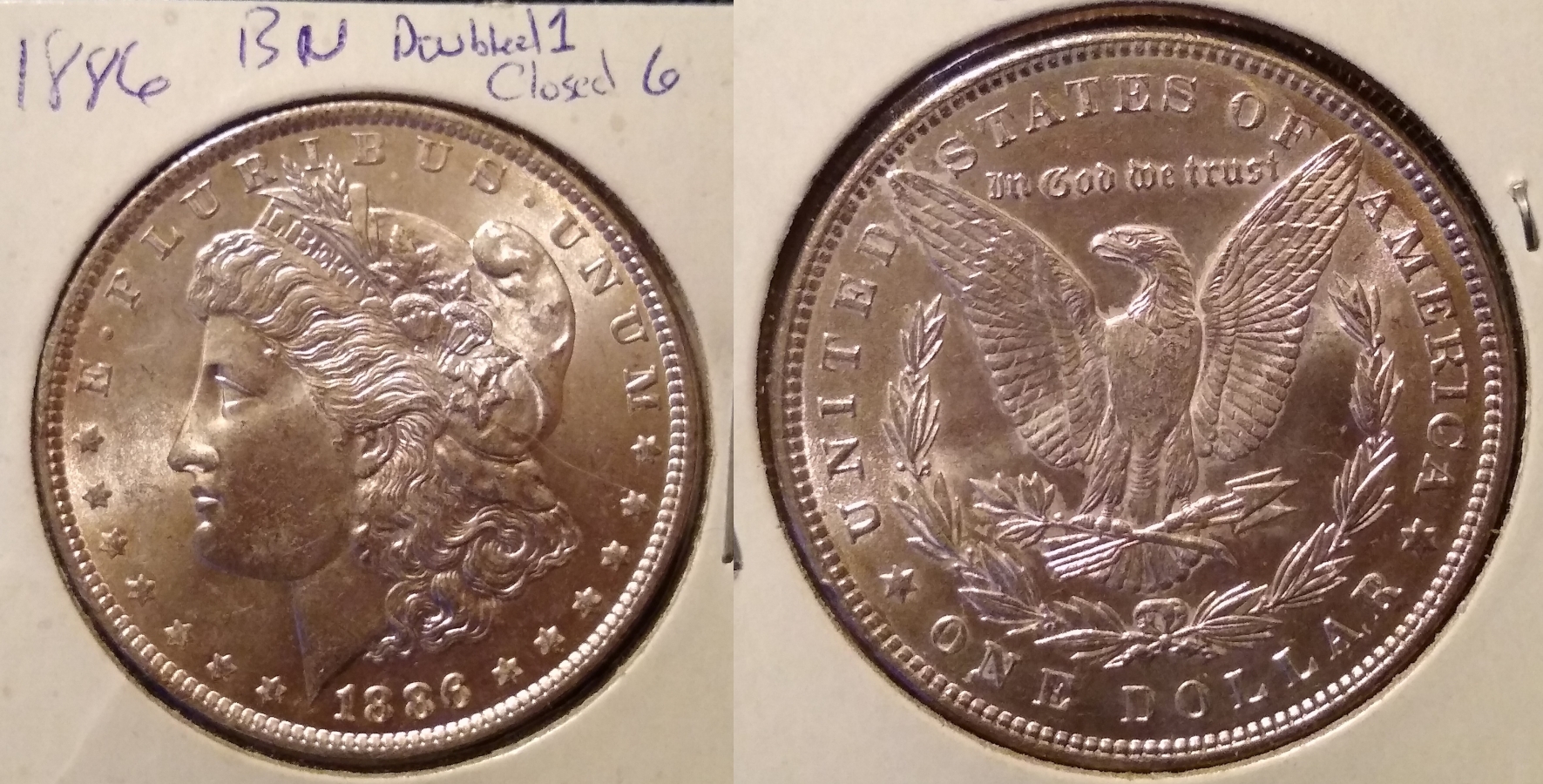 1886MorganObv-side.jpg