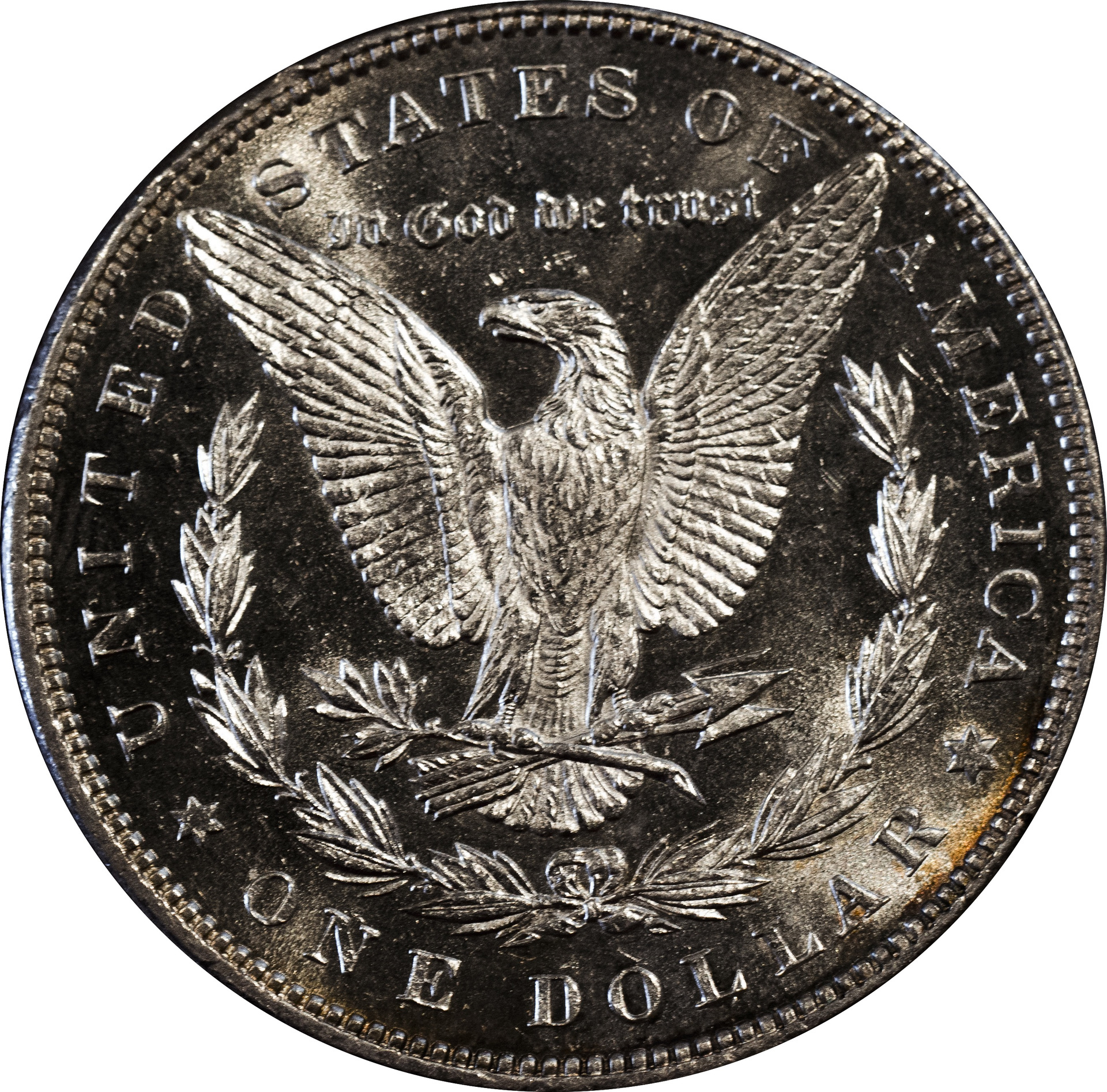 1886rev.jpg