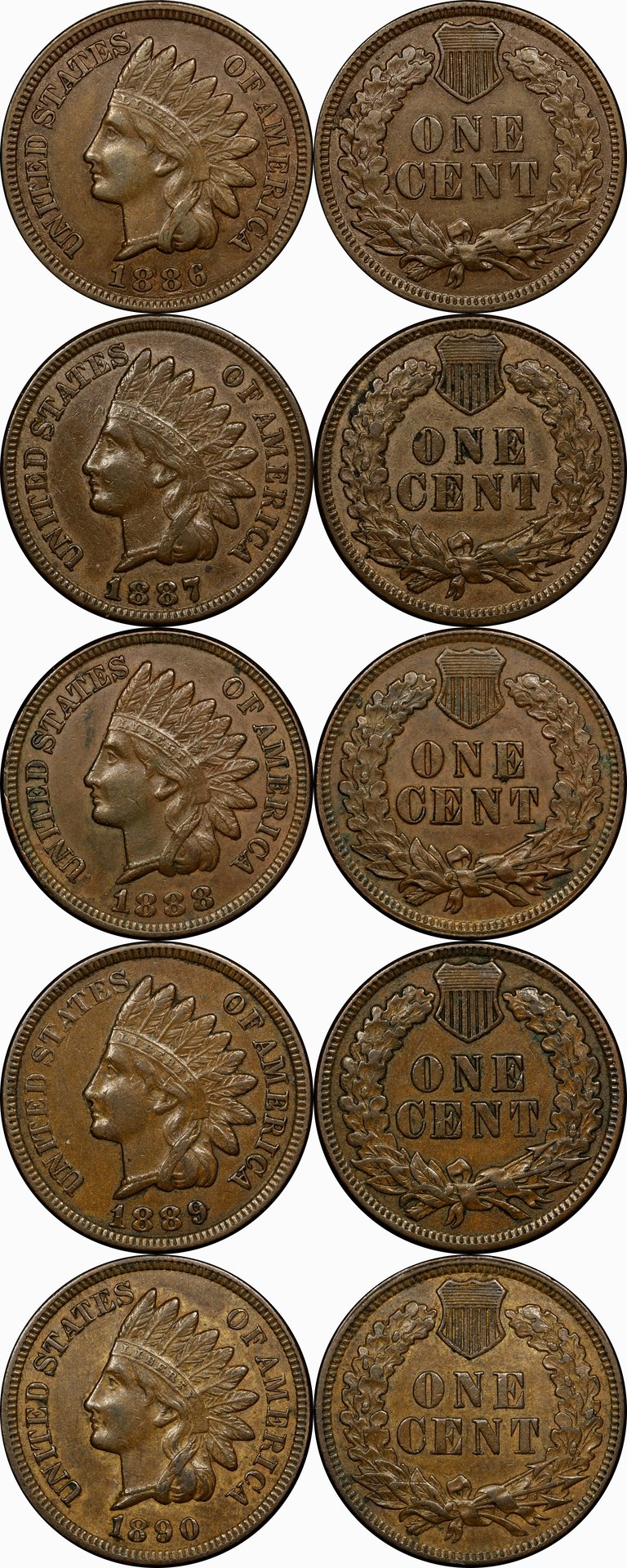 1886TY2-down.JPG