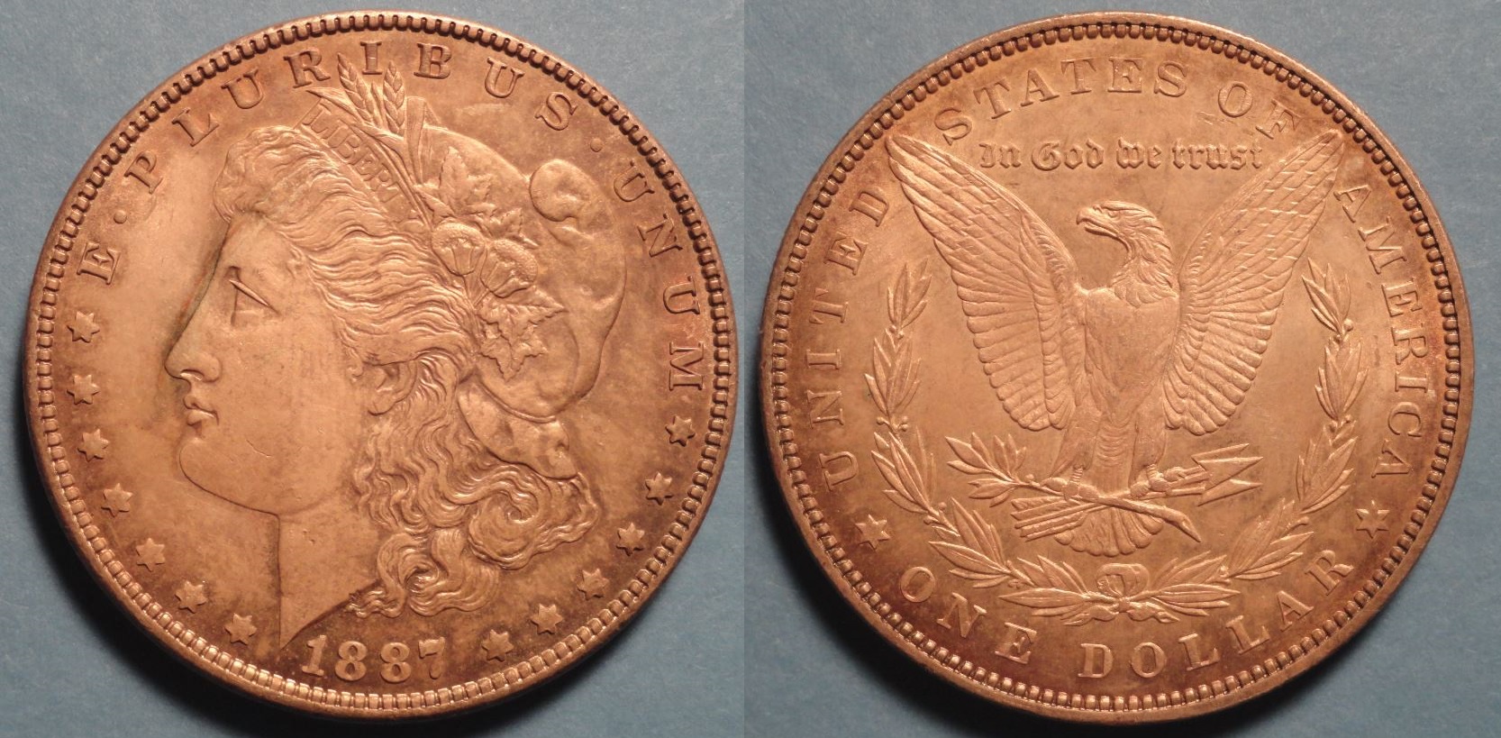 1887-2.jpg