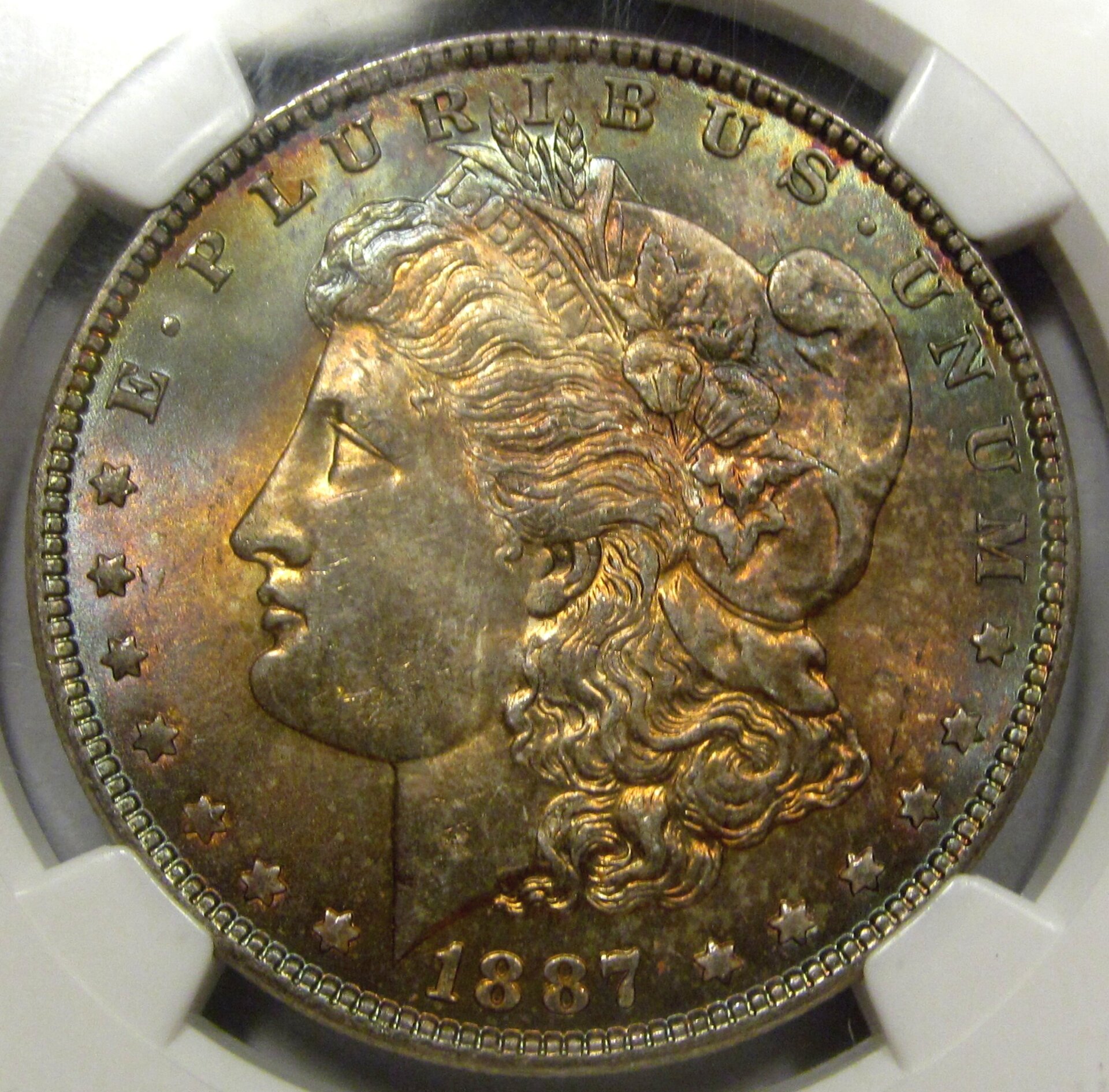 1887-2o.jpg