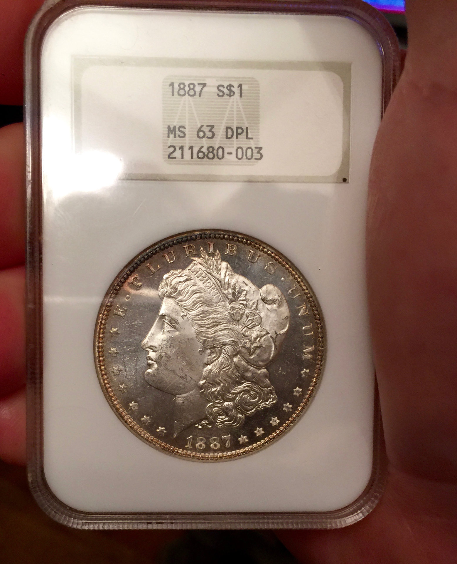 1887 DMPL - 1.jpg