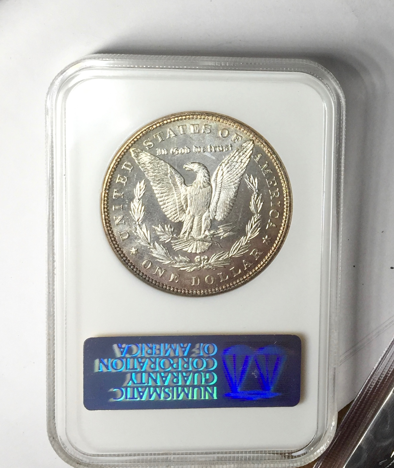 1887 DMPL rev - 1.jpg