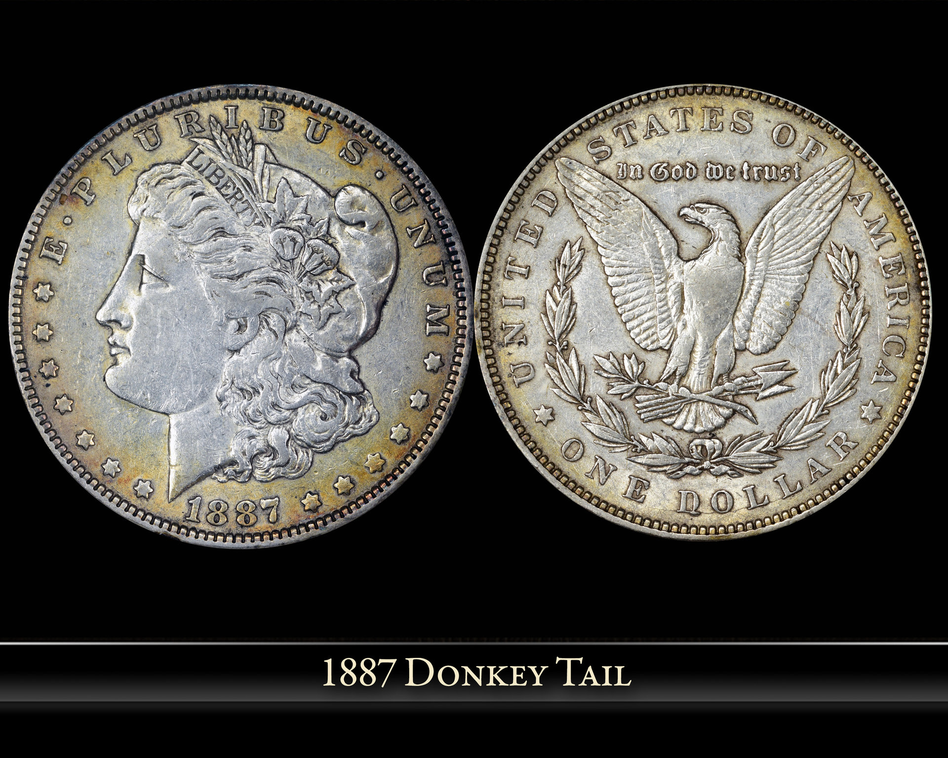 1887--donkey.jpg