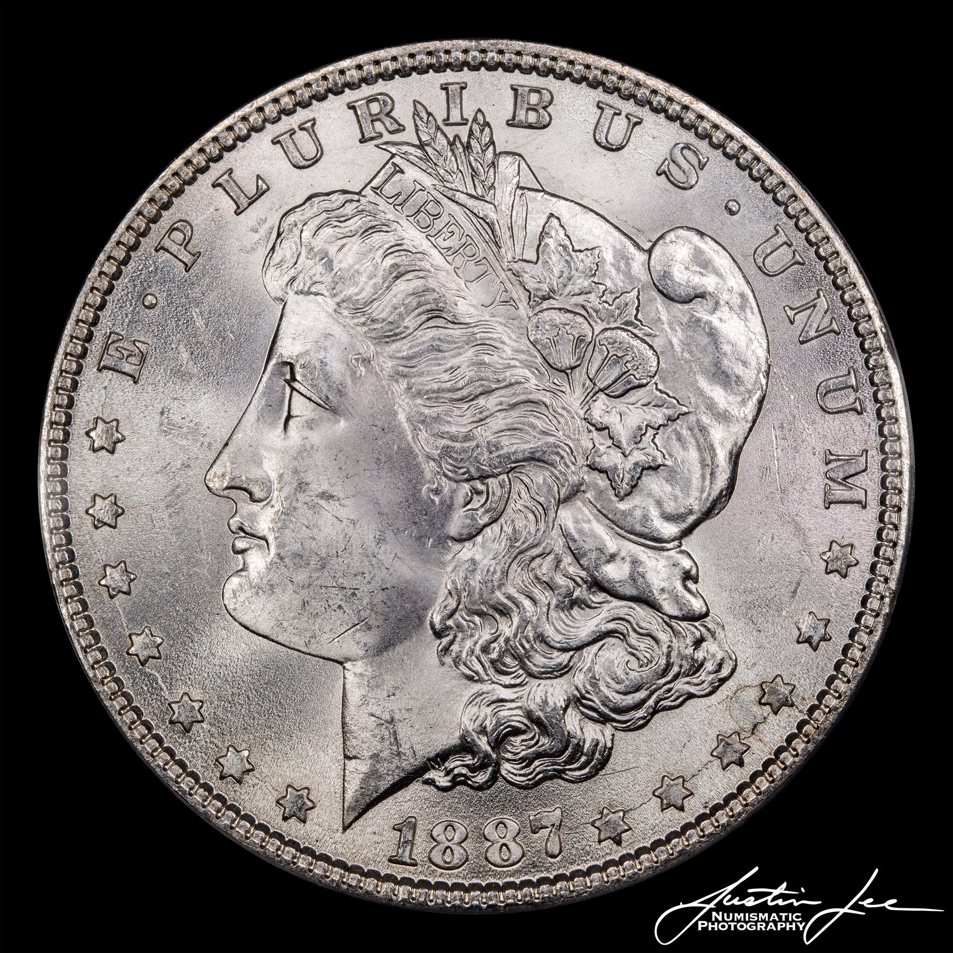 1887-Morgan-Dollar-VAM-19a-Obverse.jpg