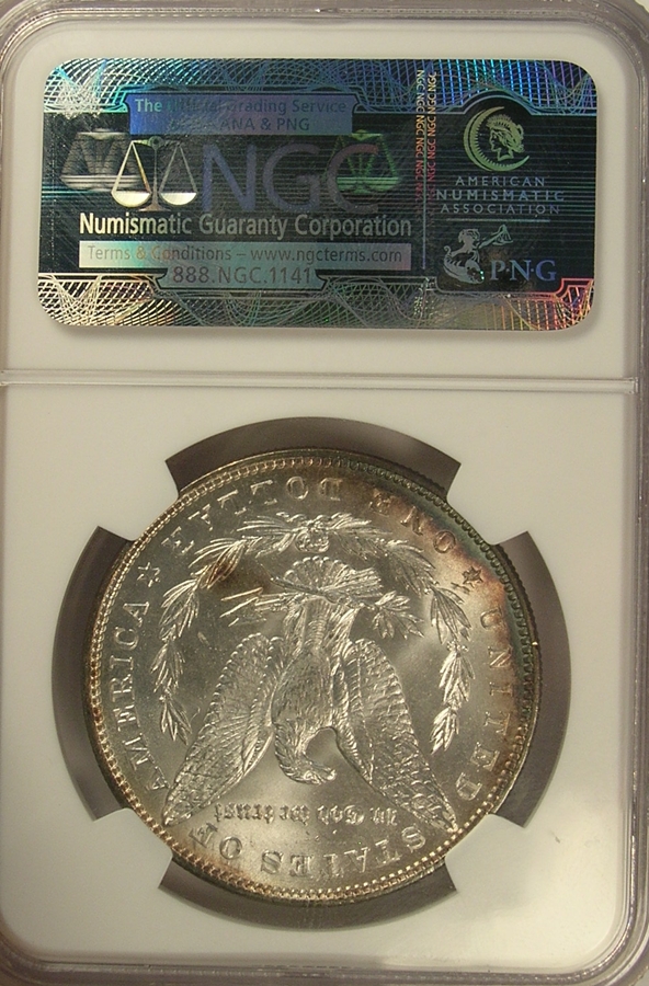 1887 Morgan MS66 NGC Rev Slab 600x900.JPG