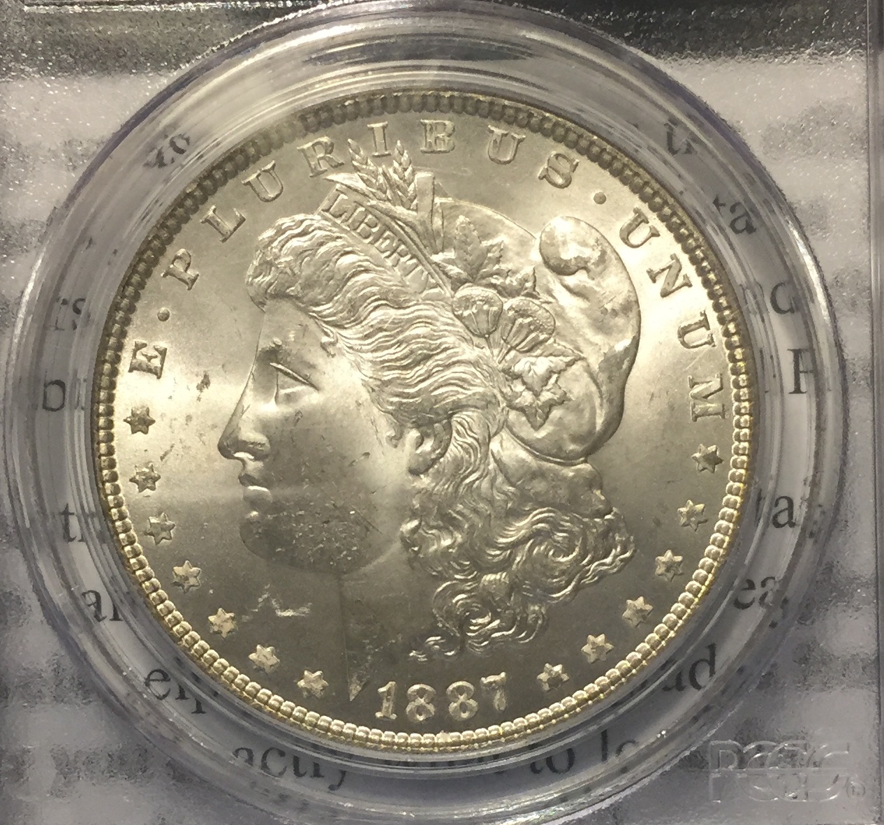 1887 Morgan Obverse.jpg