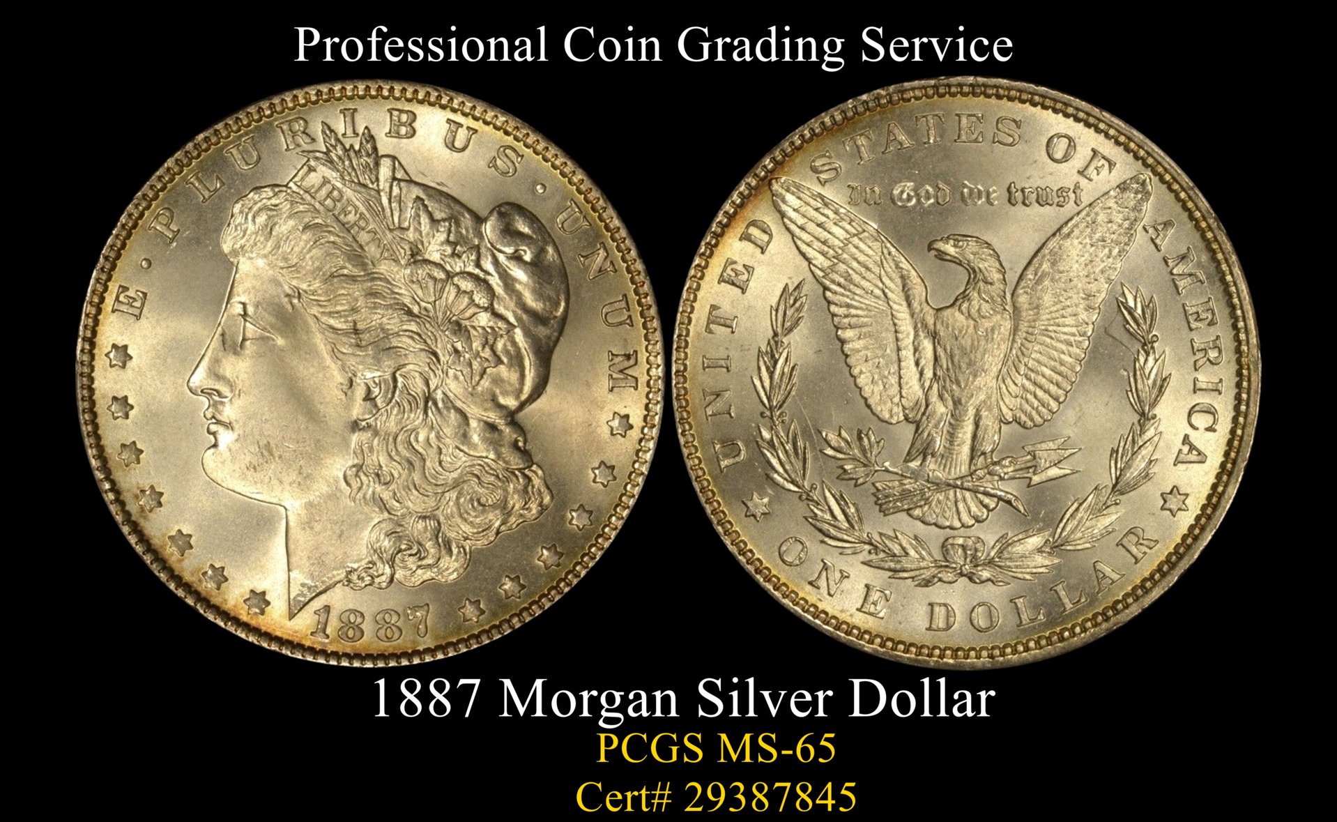 1887 Morgan pcgs ms65 complete.jpg