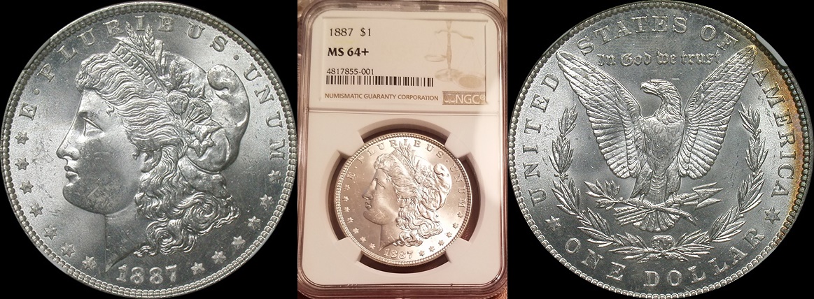 1887 ngc 64 plus 1-horz.jpg