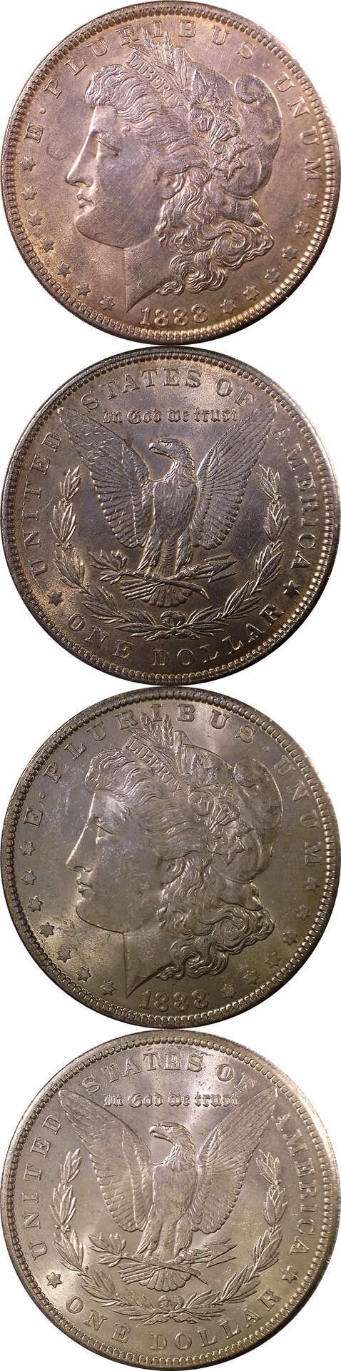 1888 Morgan-crop-vert.jpg