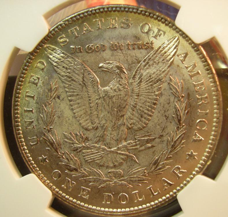 1888-P Ngc MS-631$ full rev.jpg