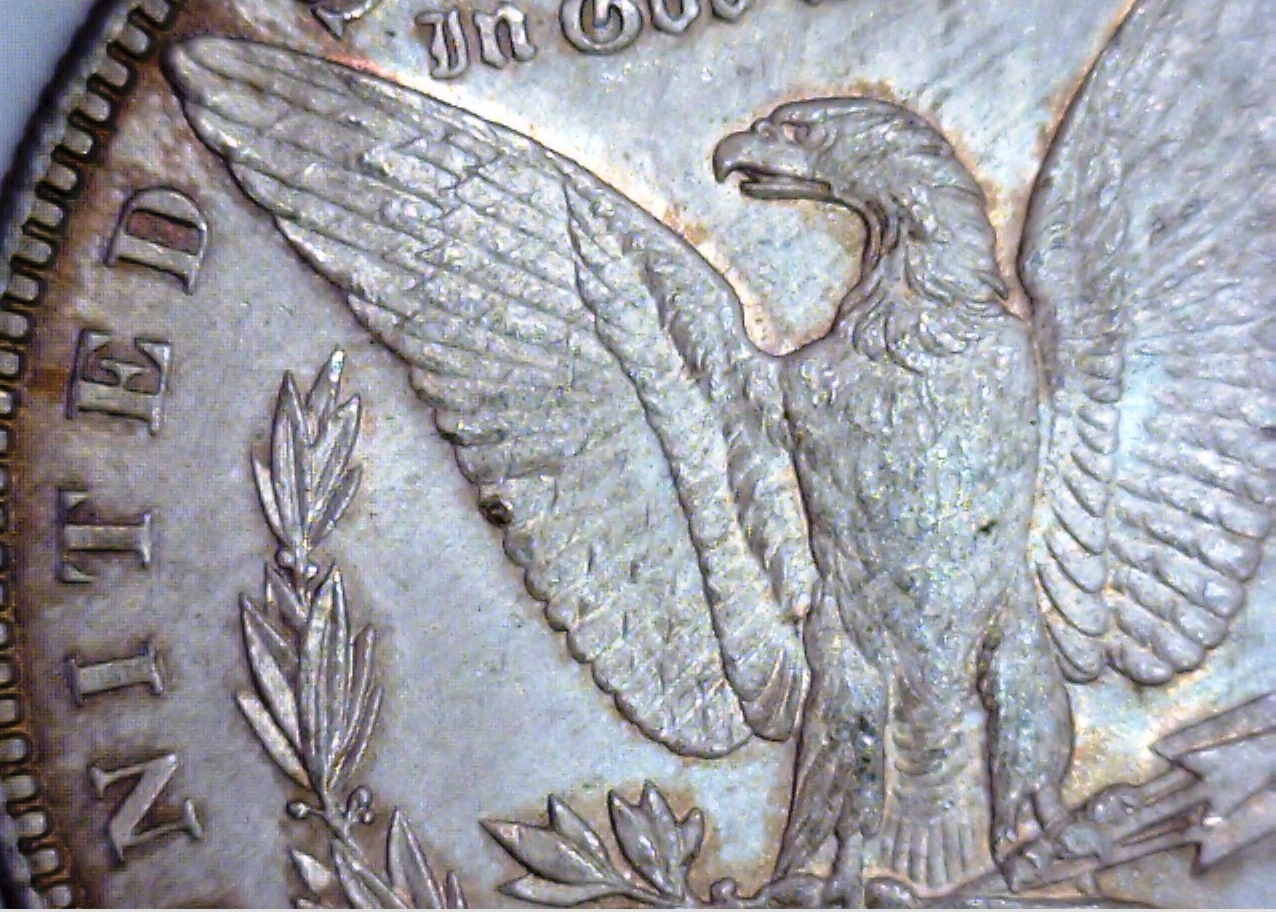 1888 S Morgan wing vam 4-crop.jpg