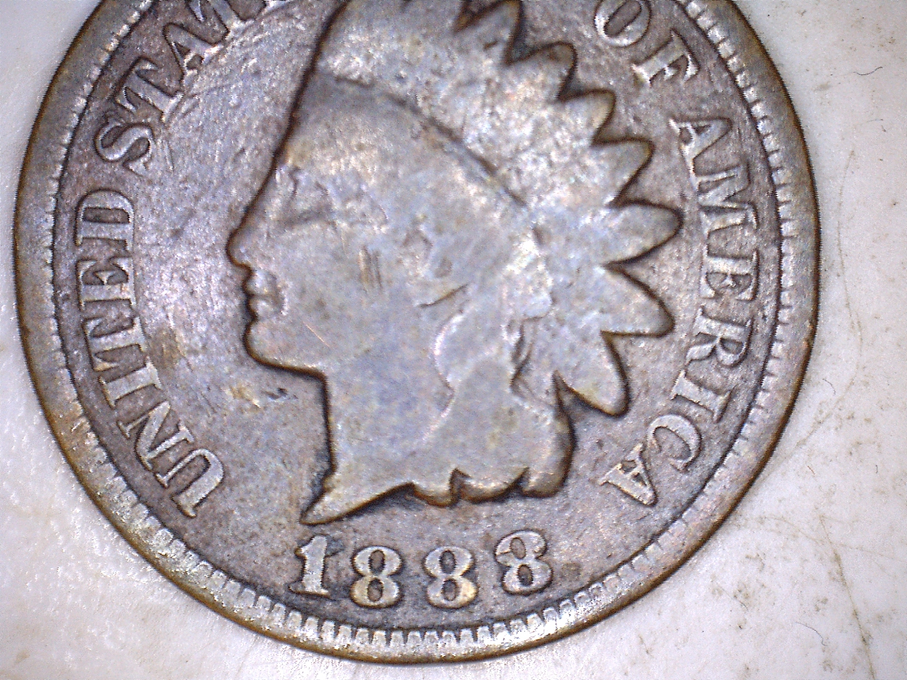 18884.jpg
