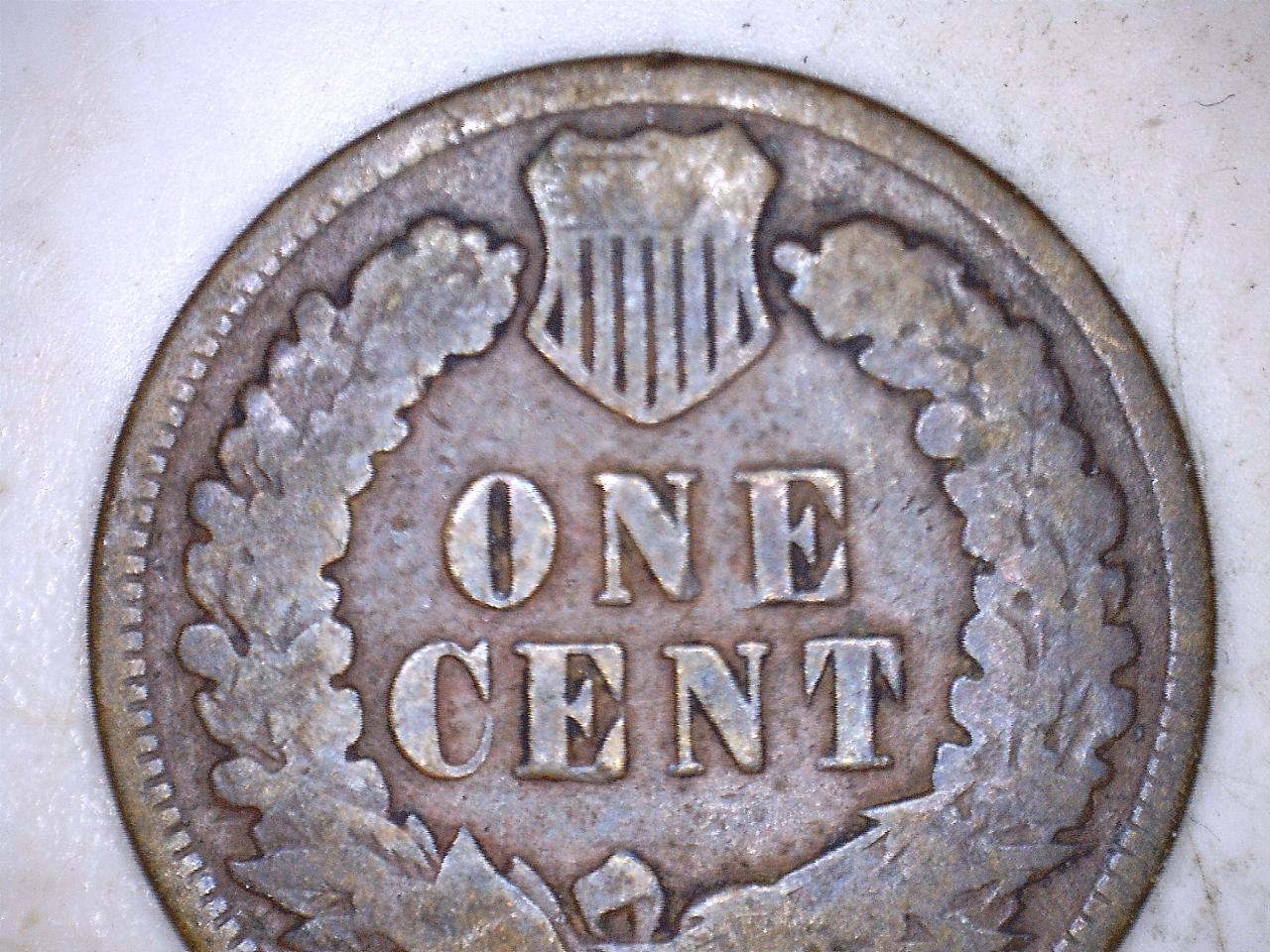 18885.jpg