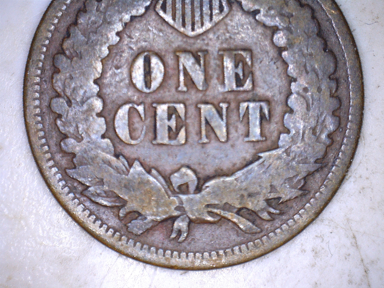 18886.jpg