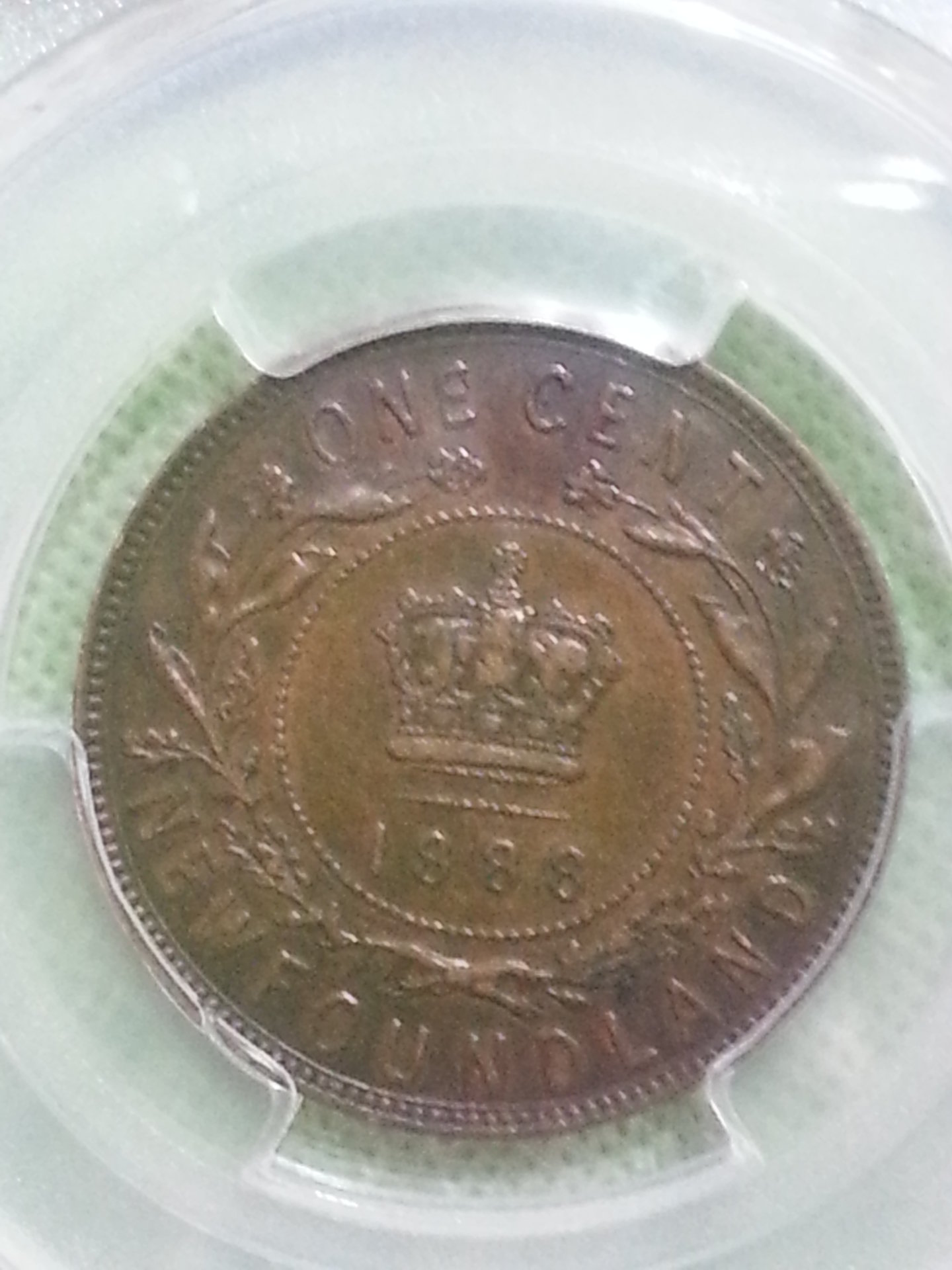 1888mm1.jpg